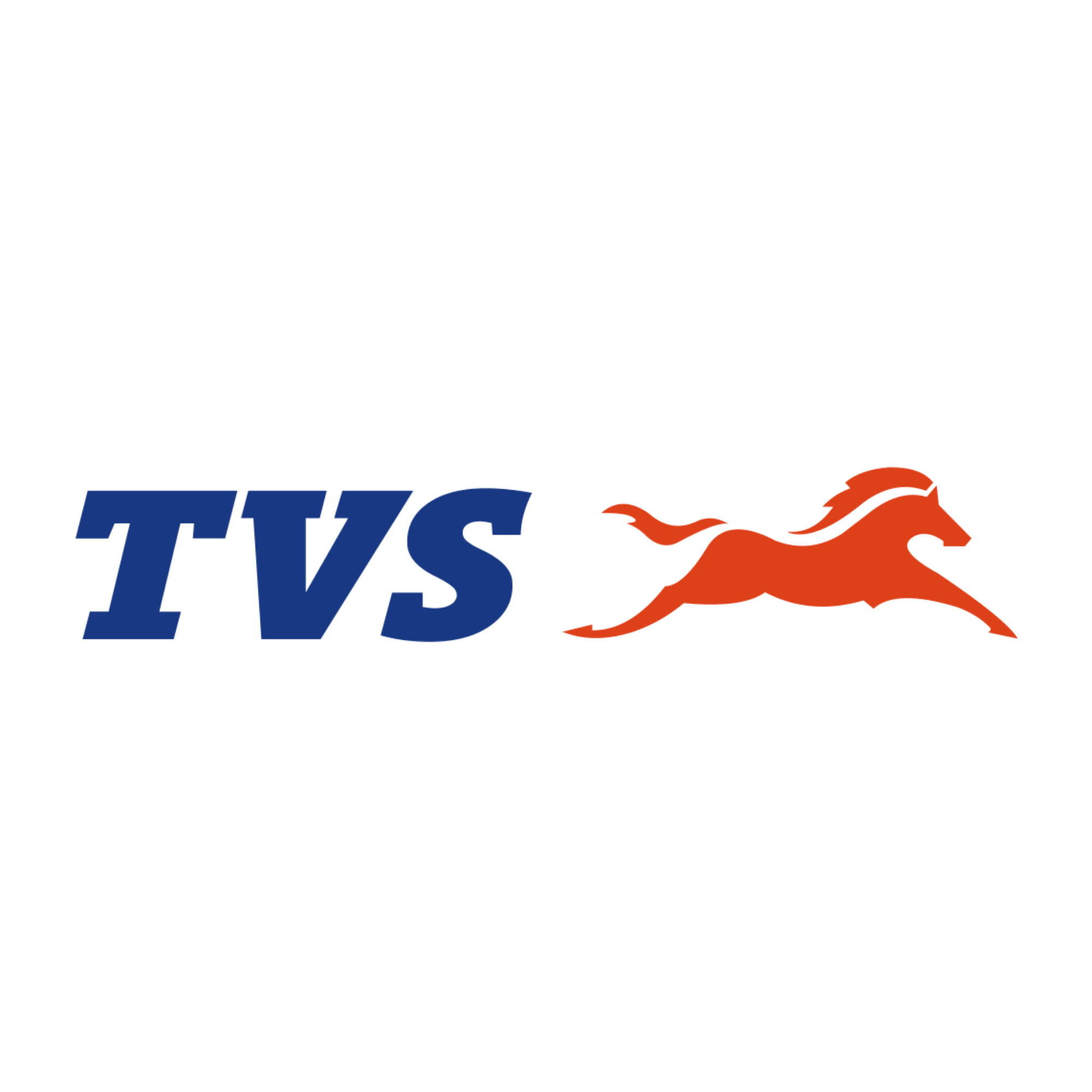 TVS Group